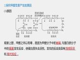 微专题二 第1章 微项目 甲醛的危害与去除 ——利用电负性分析与预测物质性质课件