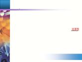 2.1 课时1 活泼的金属单质——钠 【新教材】人教版（2019）高中化学必修第一册课件+练习