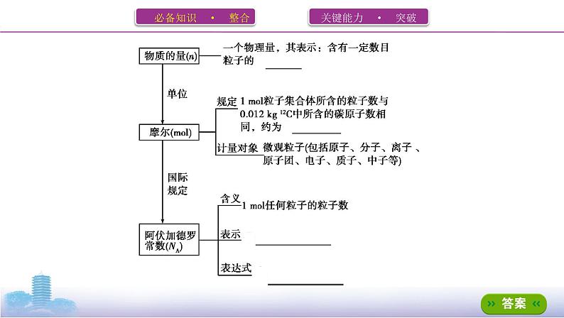 2022高考化学专题复习 专题一 化学计量 第1讲　物质的量 气体摩尔体积课件PPT第3页