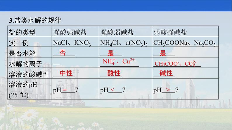 人教版2022届高中化学一轮复习 第八单元　第3节　盐类的水解 课件 (1)08