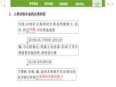 3.2.1铁合金课件2021-2022学年上学期高一化学人教版（2019）必修第一册