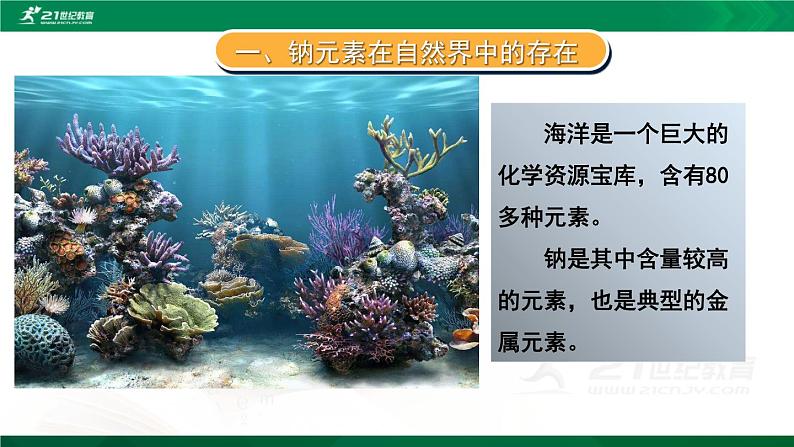 第二章   第一节   第一课时  活泼的金属单质钠课件 化学人教版（2019）必修第一册第4页