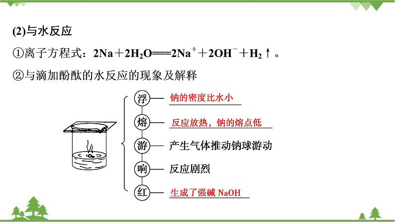 2022高考化学选考（浙江专用）一轮总复习课件：专题3+第一单元　钠、镁及其化合物06