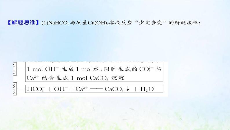 高考化学一轮复习微专题课与“量”有关的离子方程式的书写课件鲁科版05