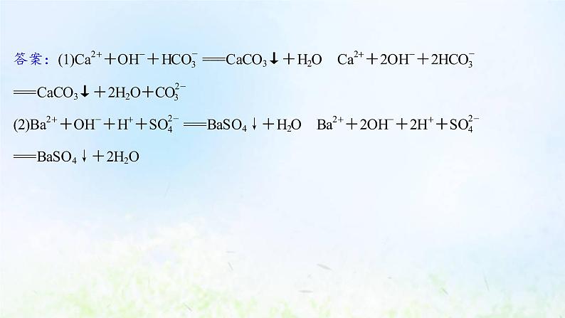 高考化学一轮复习微专题课与“量”有关的离子方程式的书写课件鲁科版08