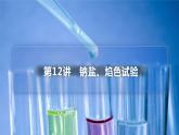 （人教2019必修第一册）高一化学 -2.1.钠盐、焰色试验（PPT课件）