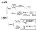 1.2 元素周期律1 课件 【新教材】人教版（2019）高中化学选择性必修2