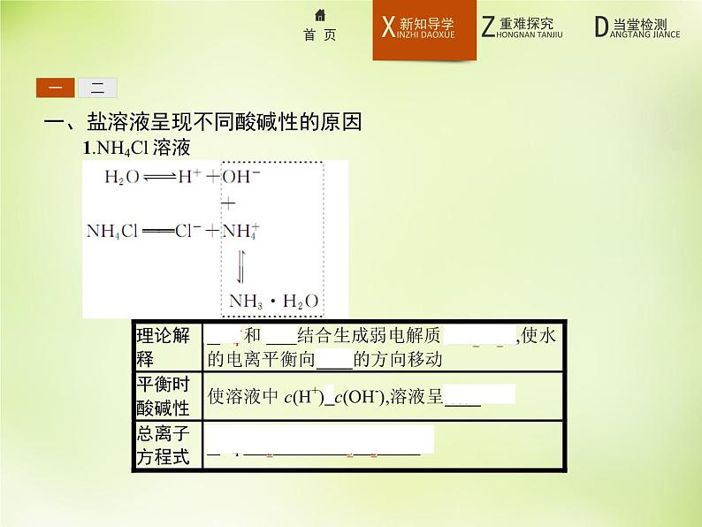 人教版 (新课标)化学选修4 化学反应原理 3.3.1盐类的水解课件04