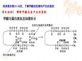 魯科版（2019）高中化學(xué)選擇性必修二 第1章原子結(jié)構(gòu)與元素性質(zhì)微項(xiàng)目及單元復(fù)習(xí)課件PPT