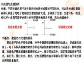 魯科版（2019）高中化學(xué)選擇性必修二 1.1 原子結(jié)構(gòu)模型 第2課時(shí)課件PPT