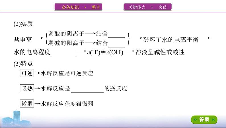 高考化学专题复习  专题八　水溶液中的离子平衡_第4讲　盐类的水解学案03