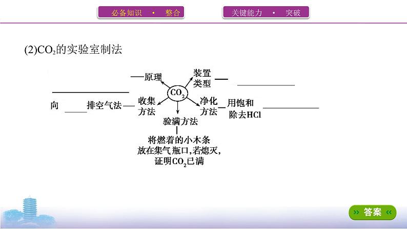 第3讲　常见气体的实验室制备第3页