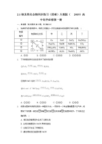 高中化学人教版 (2019)必修 第一册第一节 钠及其化合物优秀综合训练题