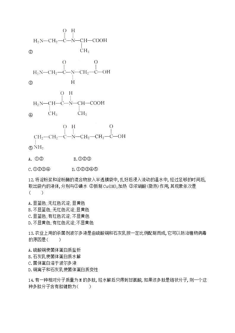 人教版（2019）化学选择性必修3-4.3 核酸 同步练习（含解析）03