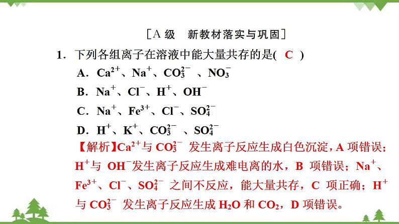 （新教材）2021-2022学年人教版化学必修第一册作业课件：第一章+高效作业4+【第2课时　离子反应】02