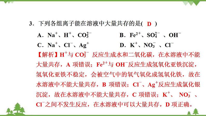 （新教材）2021-2022学年人教版化学必修第一册作业课件：第一章+高效作业4+【第2课时　离子反应】04