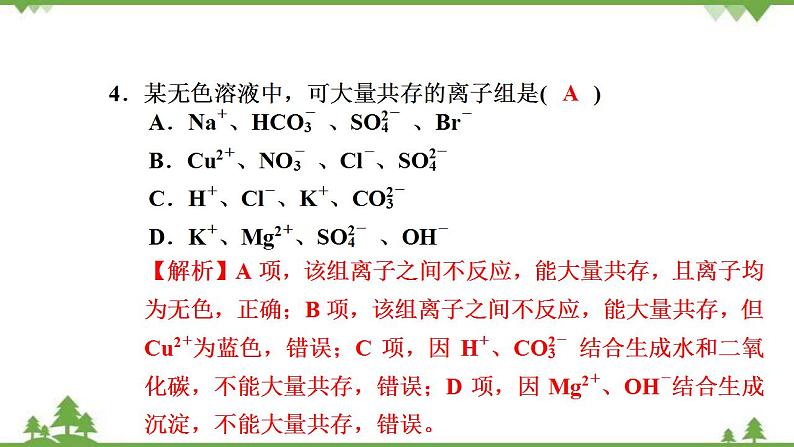 （新教材）2021-2022学年人教版化学必修第一册作业课件：第一章+高效作业4+【第2课时　离子反应】05