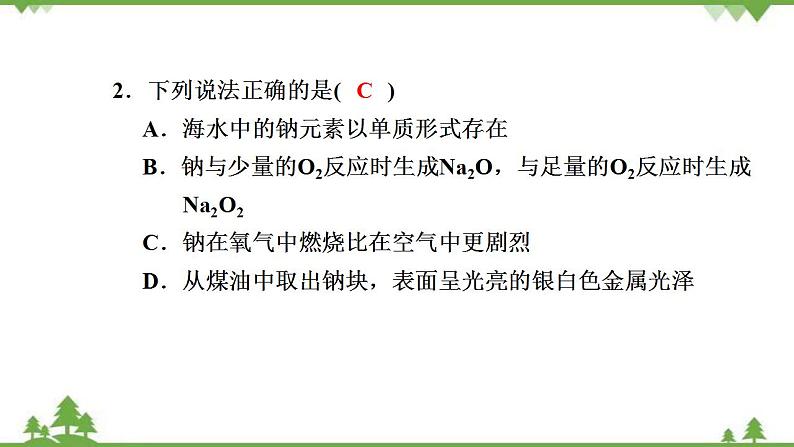 （新教材）2021-2022学年人教版化学必修第一册作业课件：第二章+高效作业7+【第1课时　钠及其氧化物】03