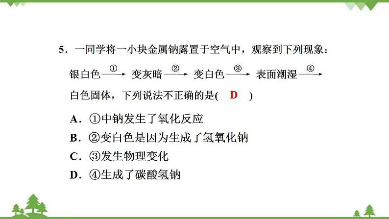 （新教材）2021-2022学年人教版化学必修第一册作业课件：第二章+高效作业7+【第1课时　钠及其氧化物】08