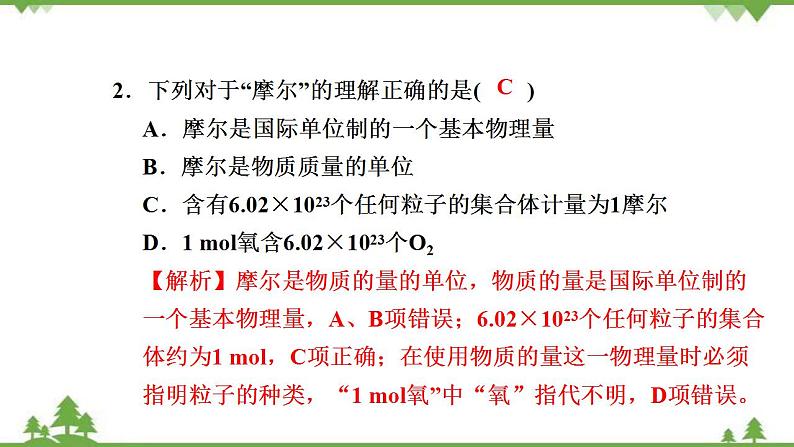 （新教材）2021-2022学年人教版化学必修第一册作业课件：第二章+高效作业11+【第1课时　物质的量的单位——摩尔】04