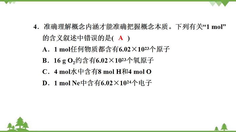 （新教材）2021-2022学年人教版化学必修第一册作业课件：第二章+高效作业11+【第1课时　物质的量的单位——摩尔】06