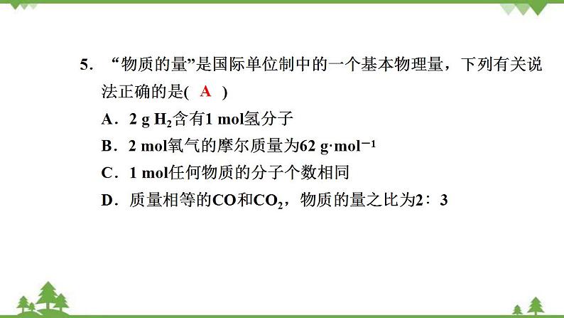 （新教材）2021-2022学年人教版化学必修第一册作业课件：第二章+高效作业11+【第1课时　物质的量的单位——摩尔】08