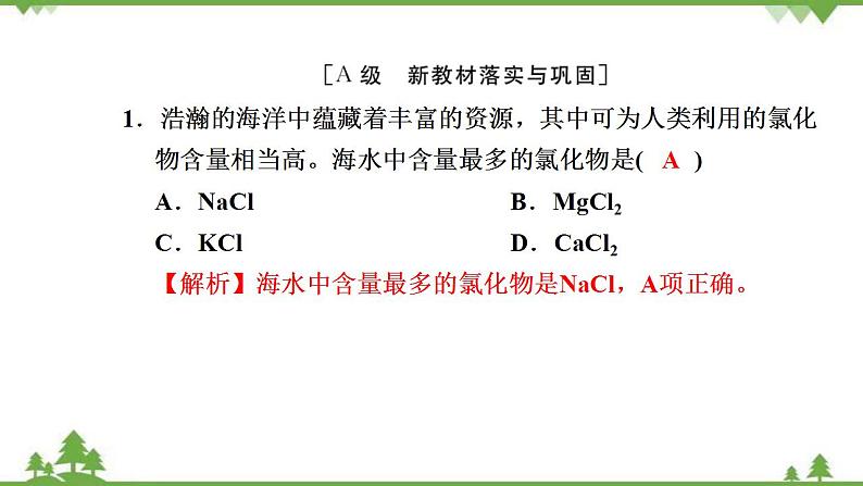 （新教材）2021-2022学年人教版化学必修第一册作业课件：第二章+高效作业9+【第1课时　氯气的性质】第2页