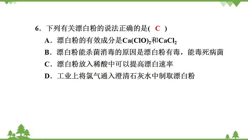 （新教材）2021-2022学年人教版化学必修第一册作业课件：第二章+高效作业9+【第1课时　氯气的性质】第8页