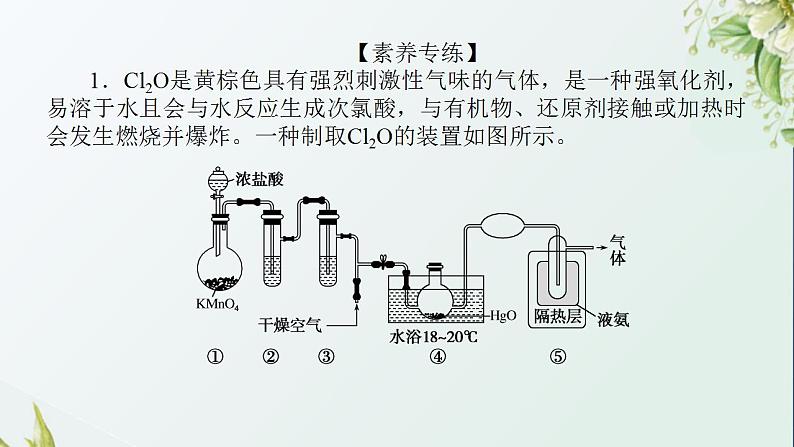 7应用广泛的氯的含氧化合物课件新人教版 高考化学一轮复习第6页