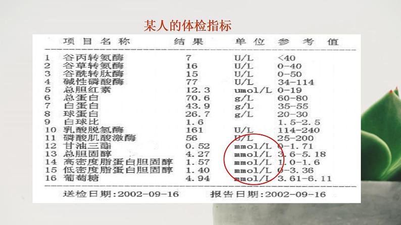 高中化学人教版2019版必修一 2.3.3  物质的量浓度 课件02