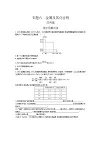 2022版高考化学选考山东专用一轮总复习集训：专题六金属及其化合物 —应用集训