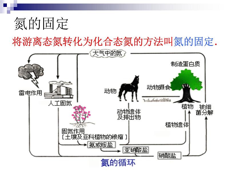 新人教版高中化学选修二课题2---人工固氮技术—合成氨 (1)课件第3页