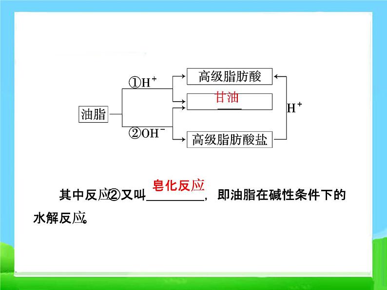 新人教版高中化学必修二3.4-基本营养物质-第二课时-油脂和蛋白质-课件-(人教必修2)课件第5页