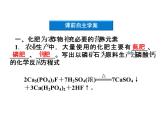 新人教版高中化学选修2《化学与技术》课件(人教版)-课题4.1-----化肥和农药课件