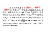 新人教版高中化学选修2《化学与技术》课件(人教版)-课题4.1-----化肥和农药课件