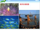 新人教版高中化学必修二4.1.2开发利用金属矿物和海水资源课件