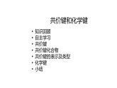 2020-2021学年高中化学新人教版必修第一册 第4章第3节化学键第2课时课件（21张）