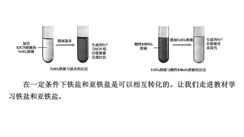 2020-2021学年高中化学新人教版必修第一册  第3章第1节 铁及其化合物（第2课时） 课件（41张）第6页