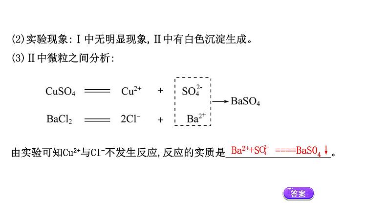 2020-2021学年高中化学新人教版必修第一册 第1章第2节离子反应第2课时课件（53张）第5页