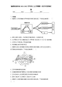 福建省泉州市2021-2022学年高二上学期第一次月考生物试题（word版含答案）