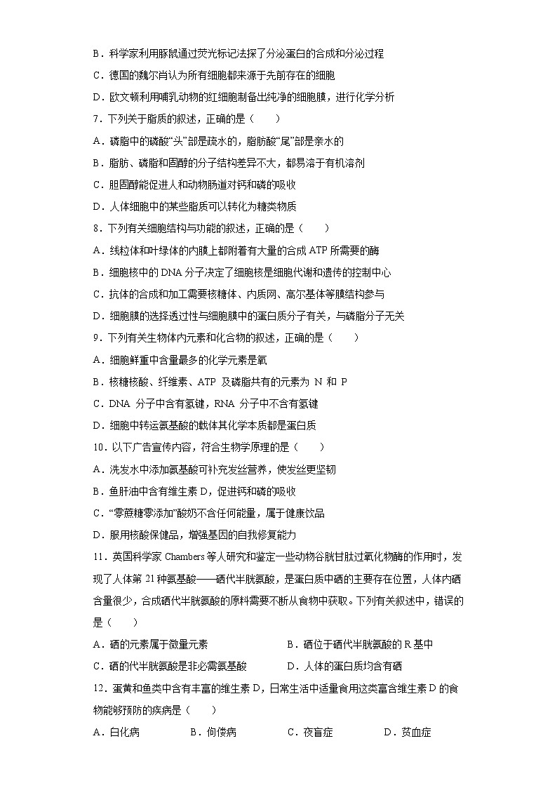 广东省普宁市2021-2022学年高三上学期第二次阶段考生物试题（word版含答案）第2页