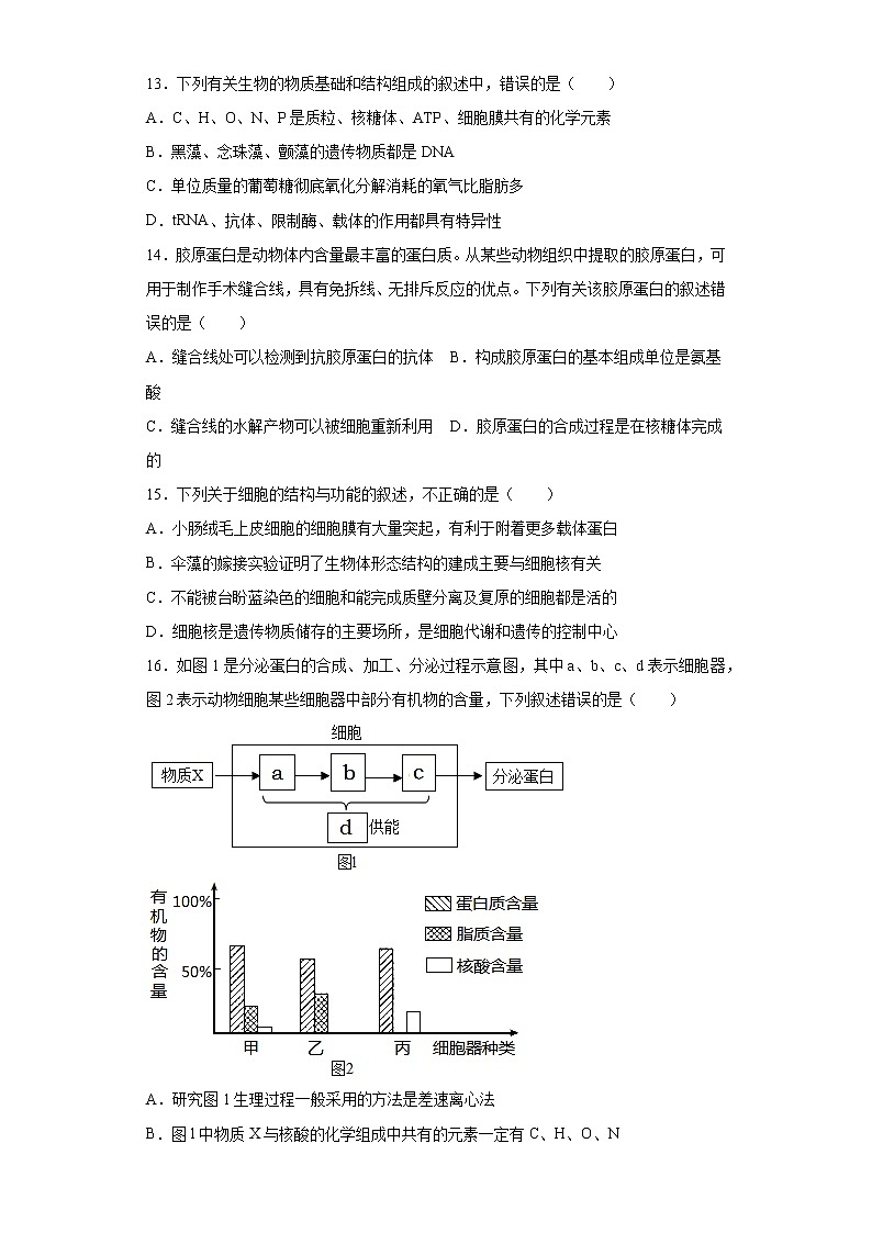 广东省普宁市2021-2022学年高三上学期第二次阶段考生物试题（word版含答案）第3页