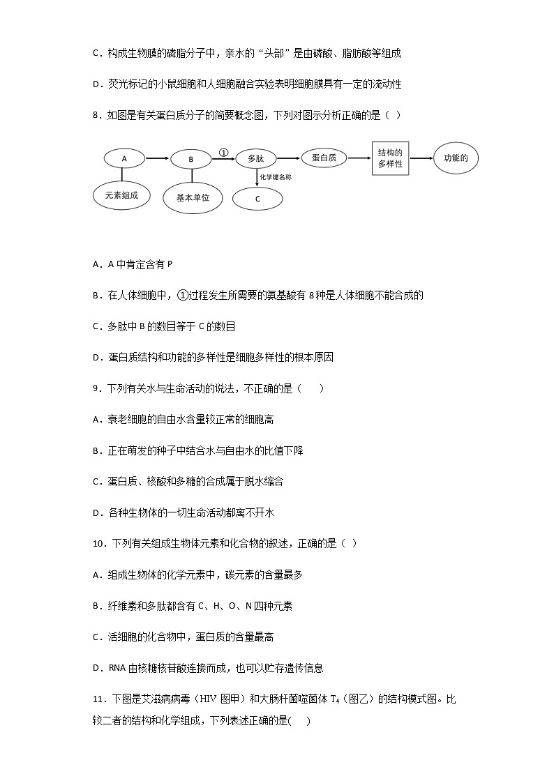 2020-2021学年辽宁省沈阳市东北育才学校高中部高一上学期第一学段检测试题生物含解析03