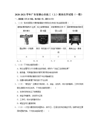 2020-2021学年广东省佛山市高三（上）期末化学试卷（一模）（含答案）