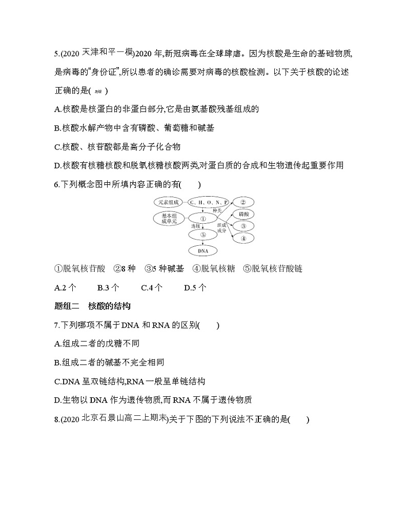 第三节　核酸（可编辑Word）练习题02