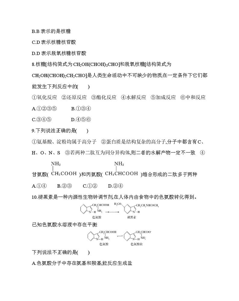 人教版2019选择性必修三第四章　生物大分子章末达标检测（可编辑Word）03