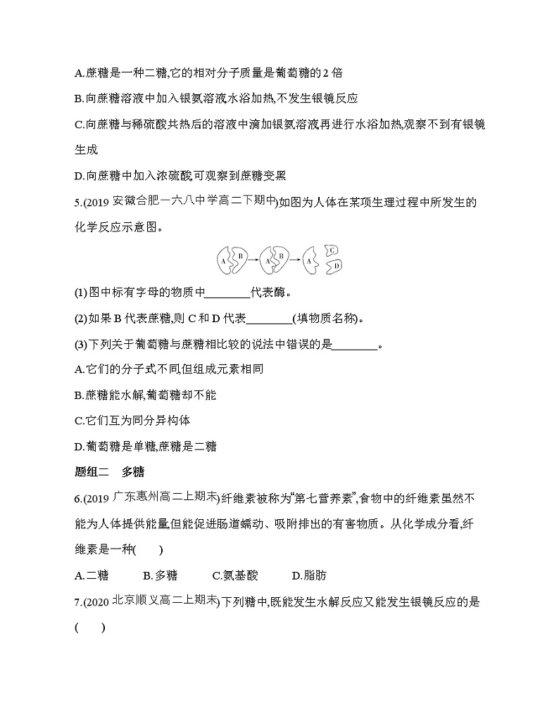 人教版2019选择性必修三第四章第一节第2课时　二糖　多糖（可编辑Word）练习题02