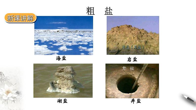 5.4用化学沉淀法去除粗盐中的杂质离子课件PPT03