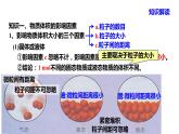 人教版 (新课标)高中必修一化学课件：1.2.2 气体摩尔体积