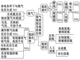 《第二节 氮及其化合物》获奖说课课件ppt